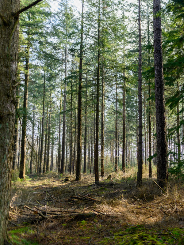 environment geomaply